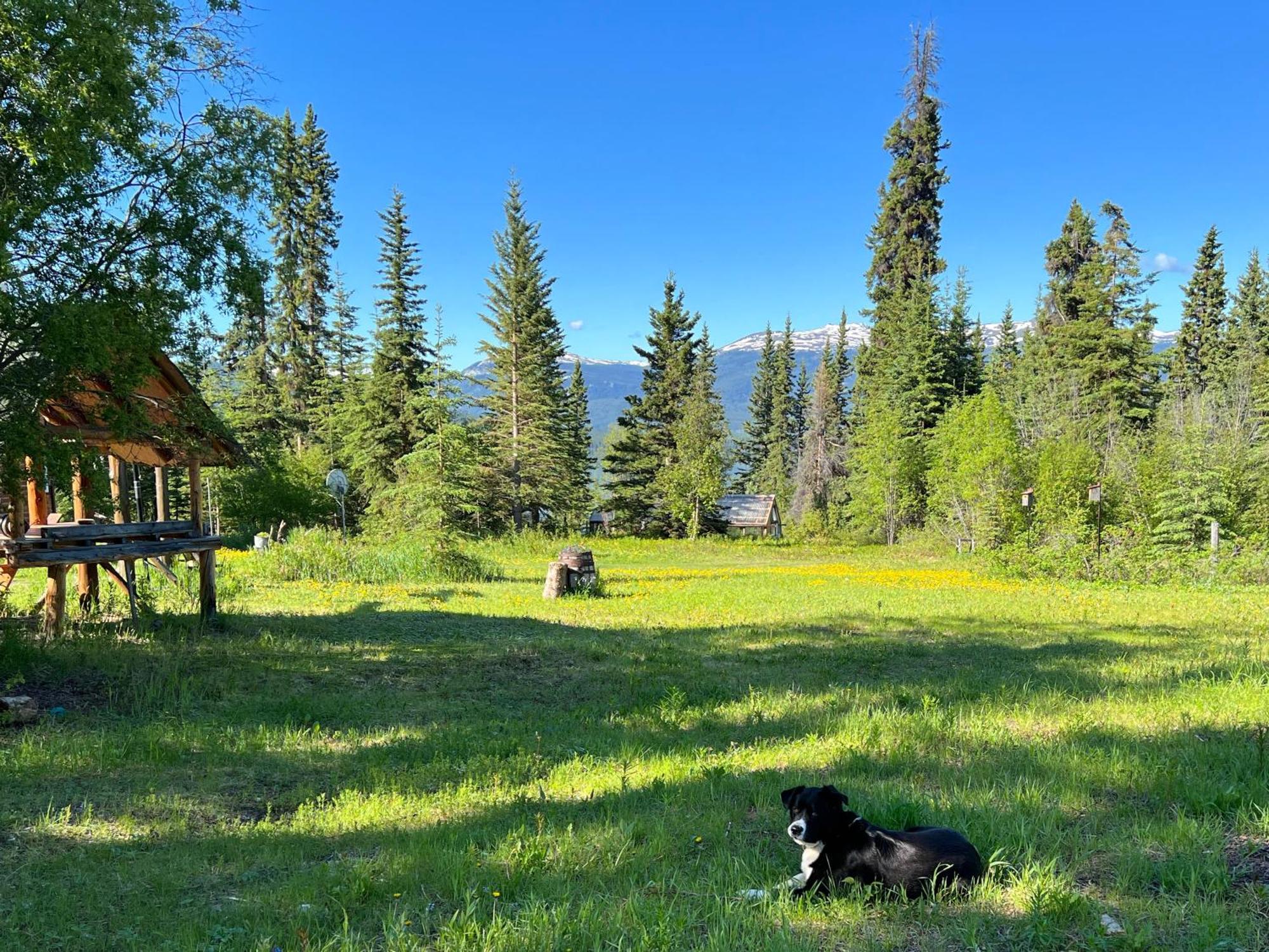 Little Atlin Lodge Tagish Экстерьер фото